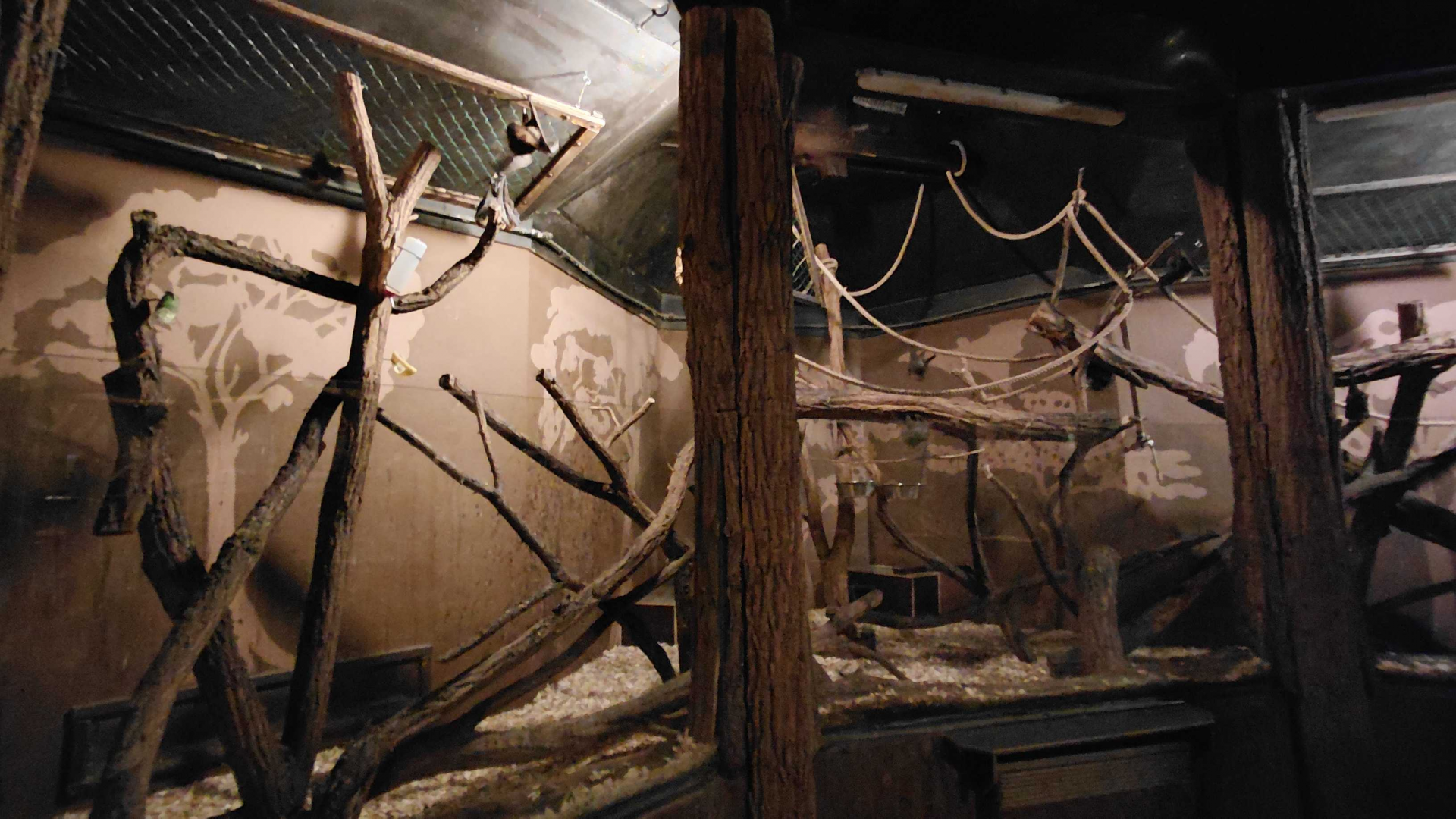 Flying fox + bettong exhibit