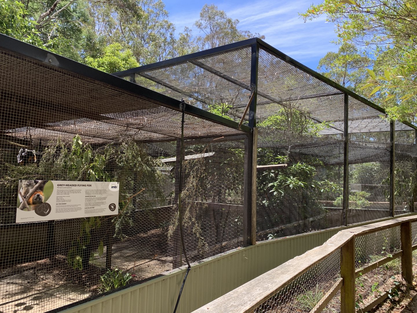 Flying Fox Enclosure (Potoroo Palace)