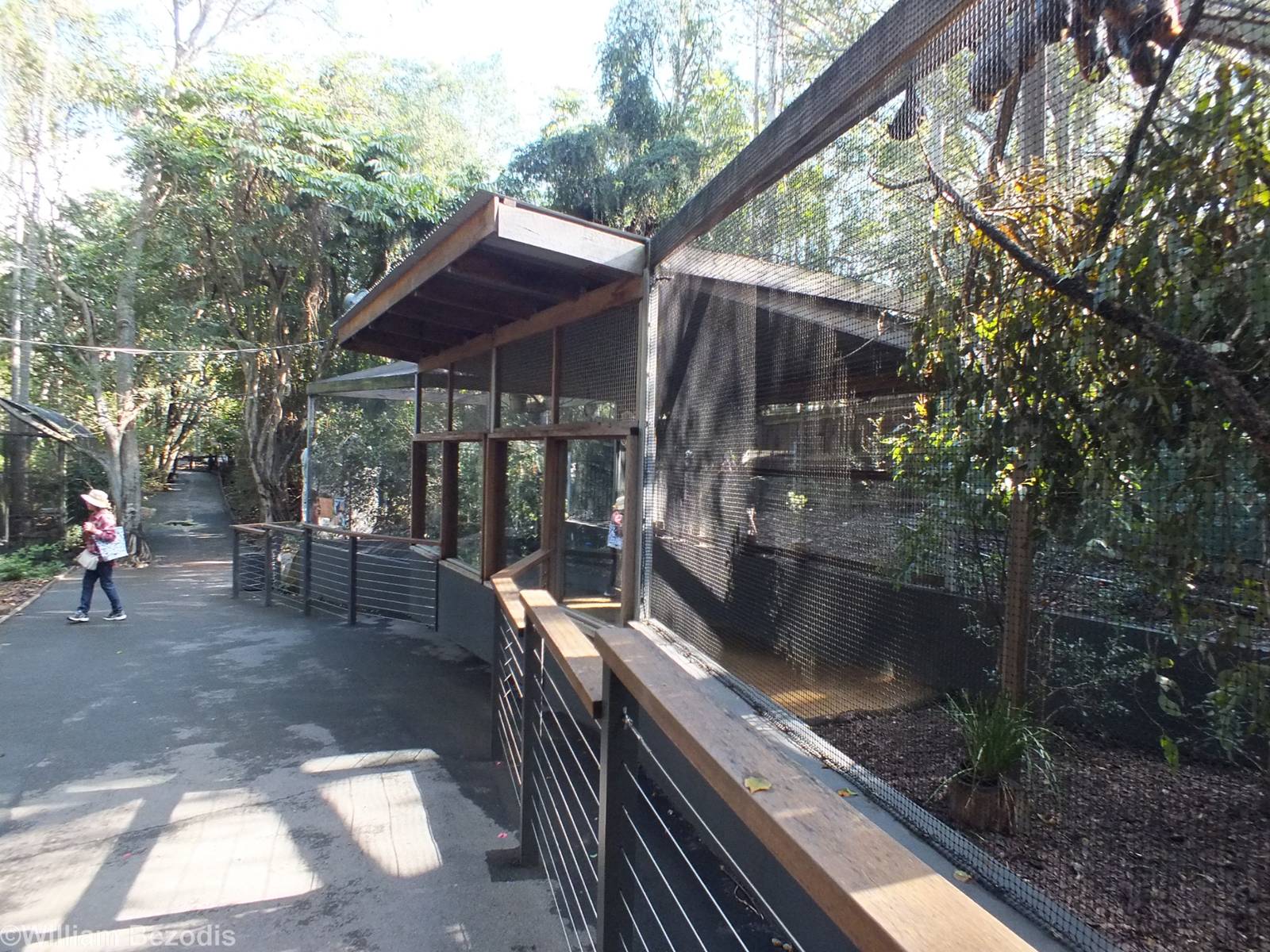 Flying Fox Enclosure