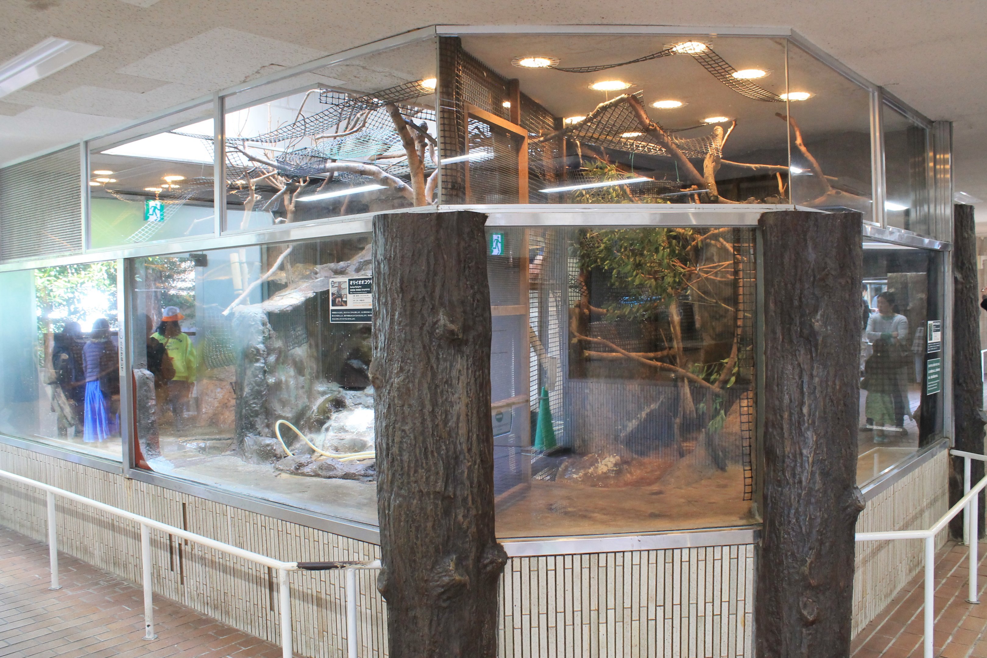 Flying Fox enclosures