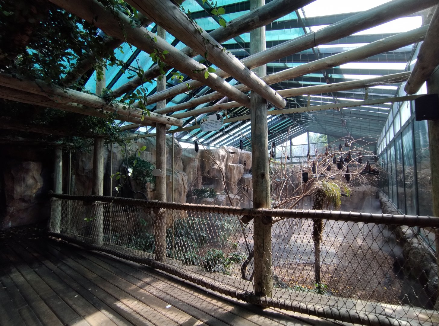 Flying fox exhibit - Temaiken