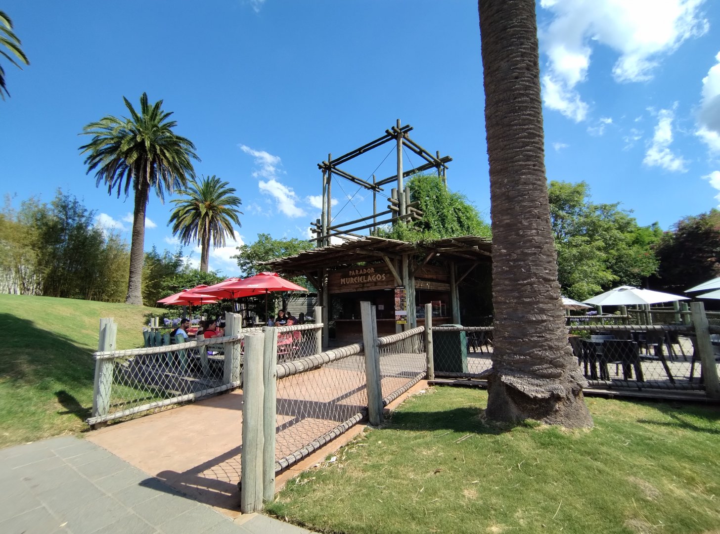 Flying fox luncheonette - Temaiken