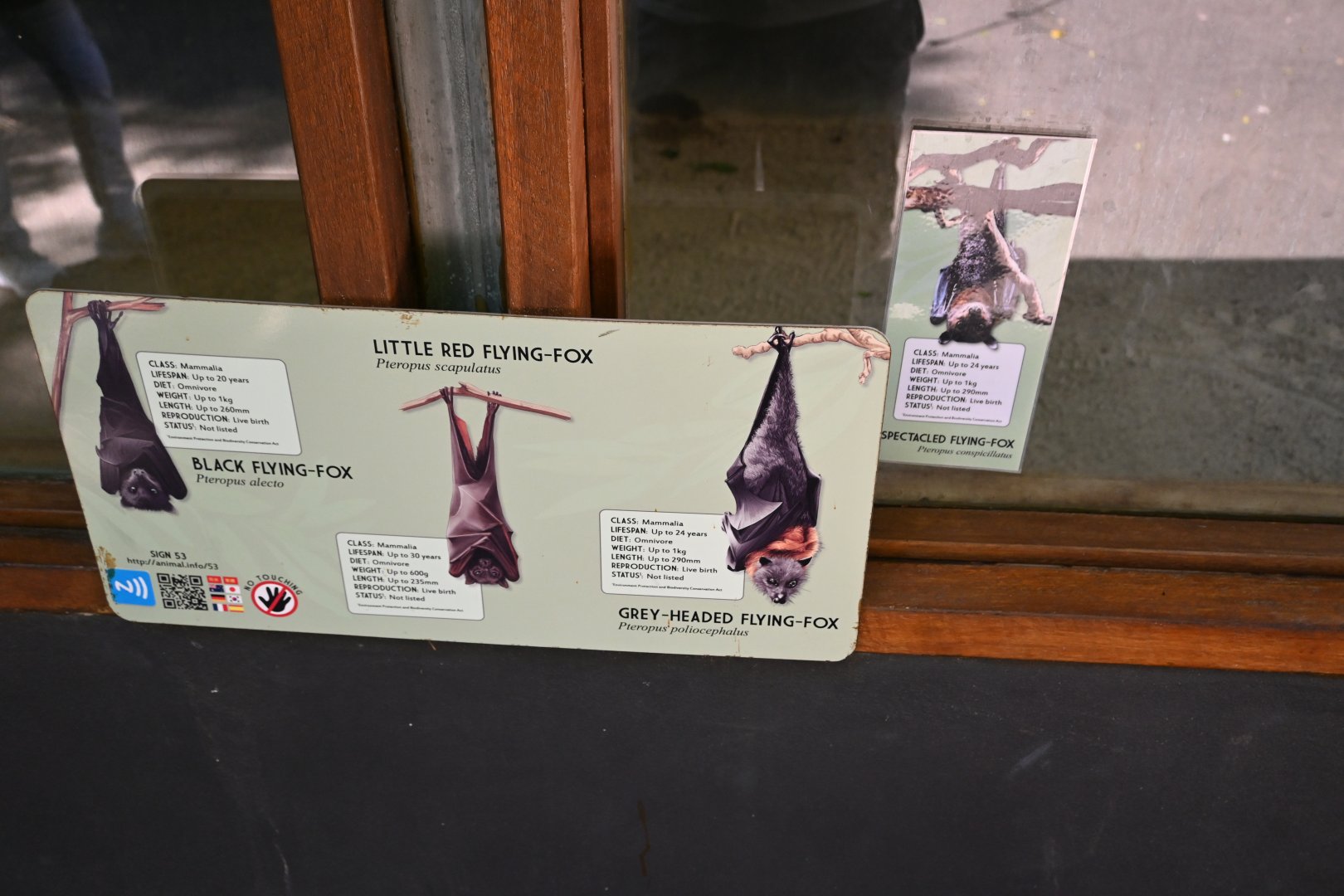 Flying-fox signage