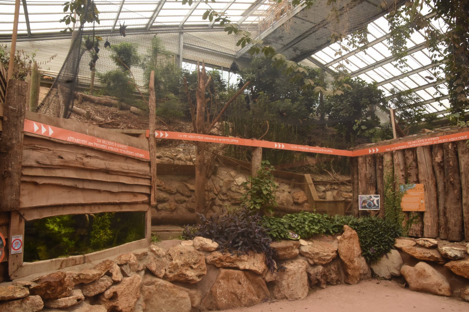 Flying fox & Three-banded Armadillo enclosure