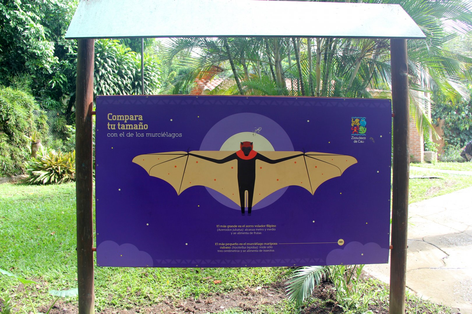 flying fox wingspan sign