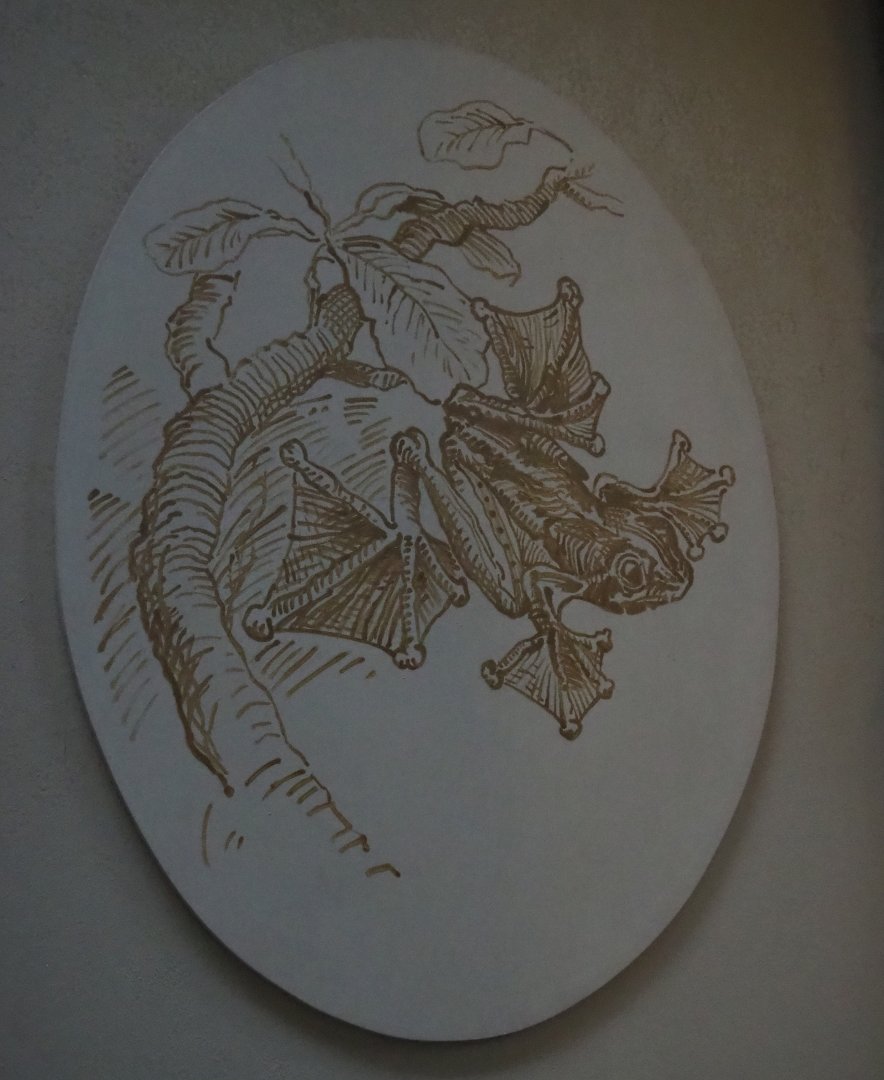 Flying frog artwork (Nov 10th, 2018)