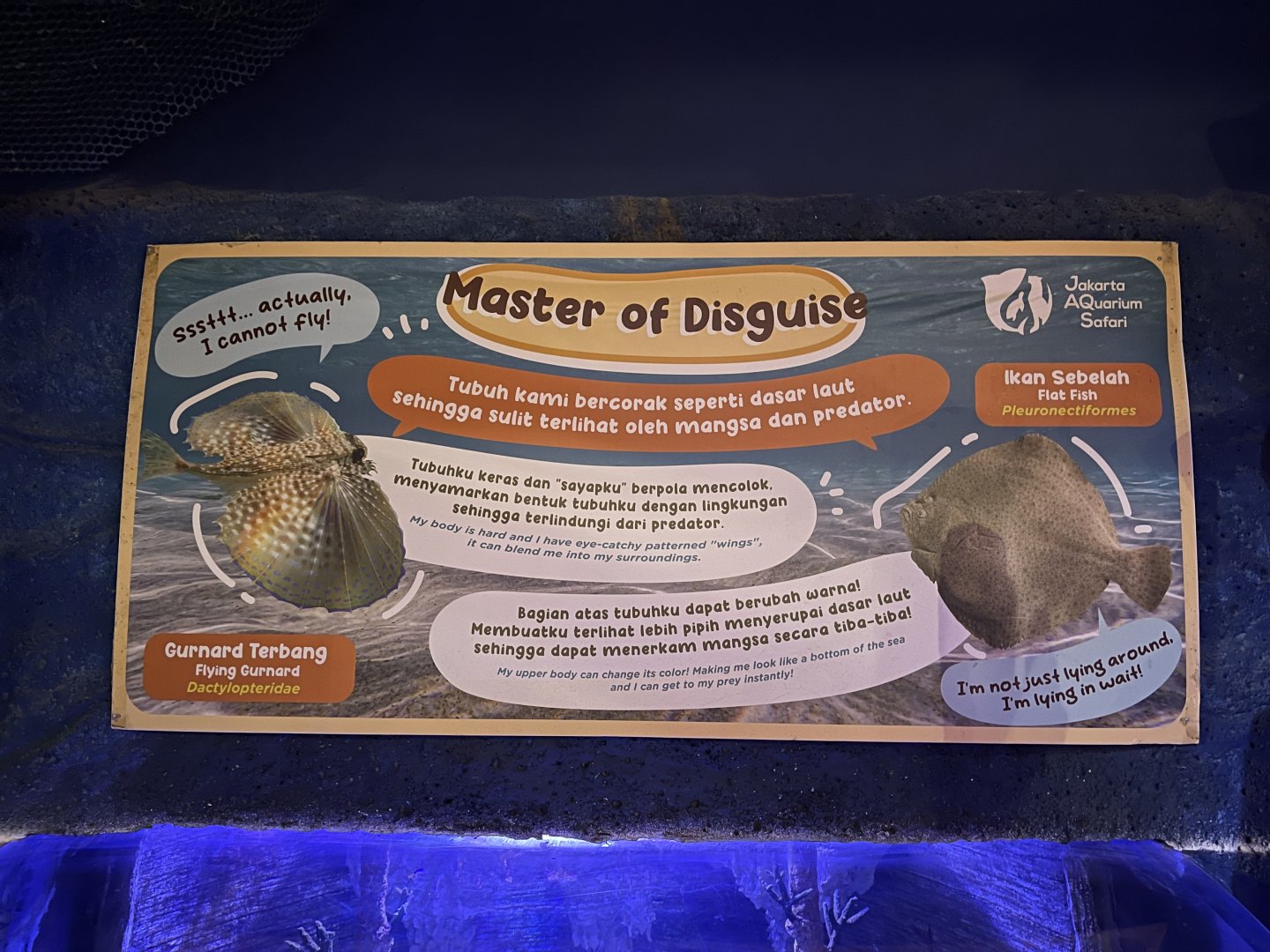 flying gurnard & flatfish signage