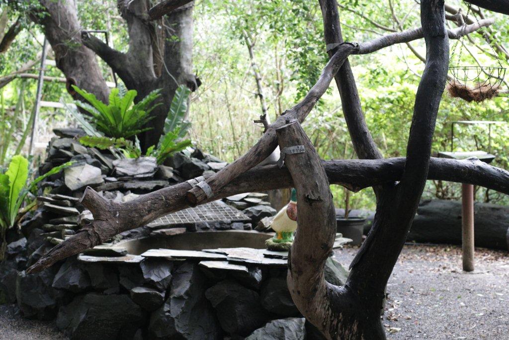 Flying High Bird Sanctuary