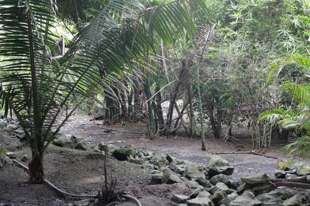 Flying High Bird Sanctuary