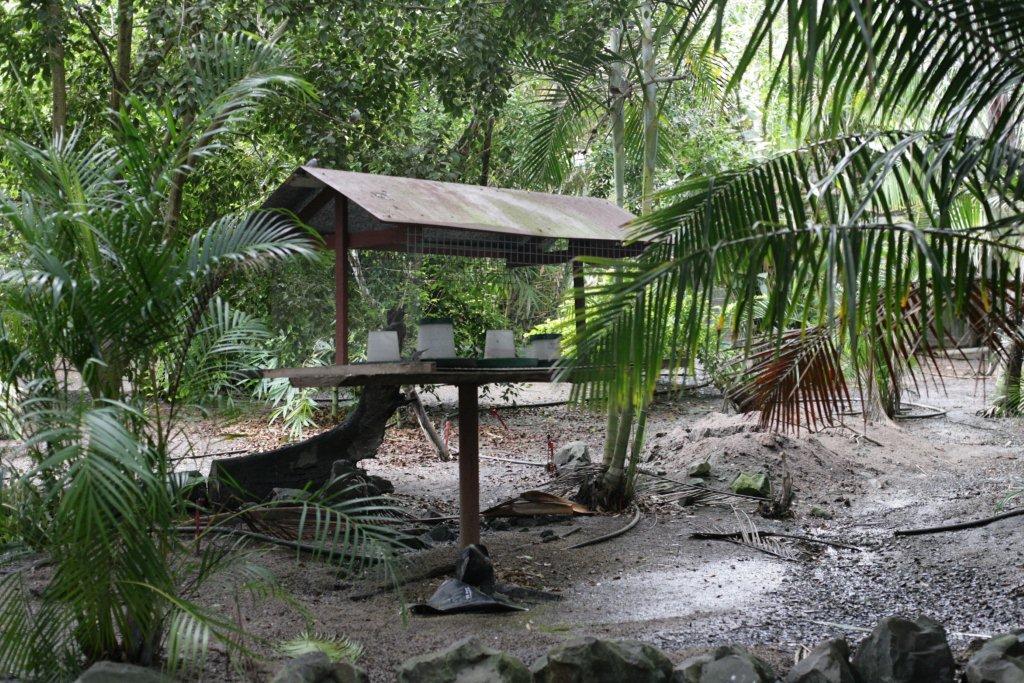 Flying High Bird Sanctuary