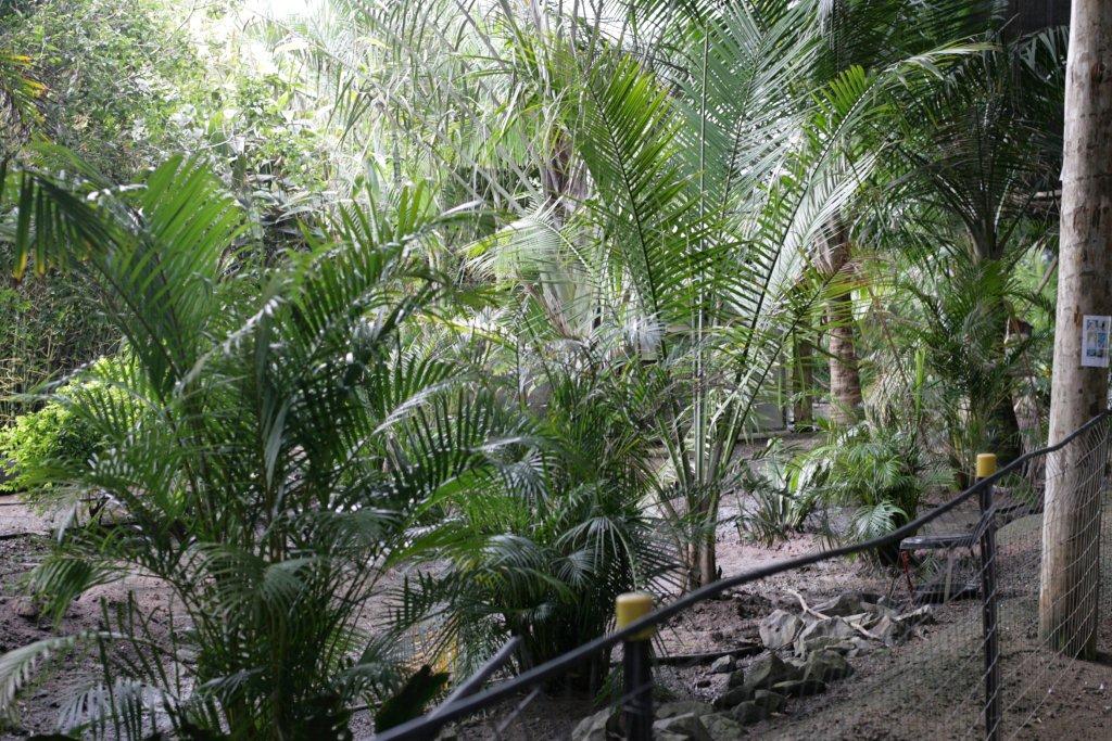 Flying High Bird Sanctuary