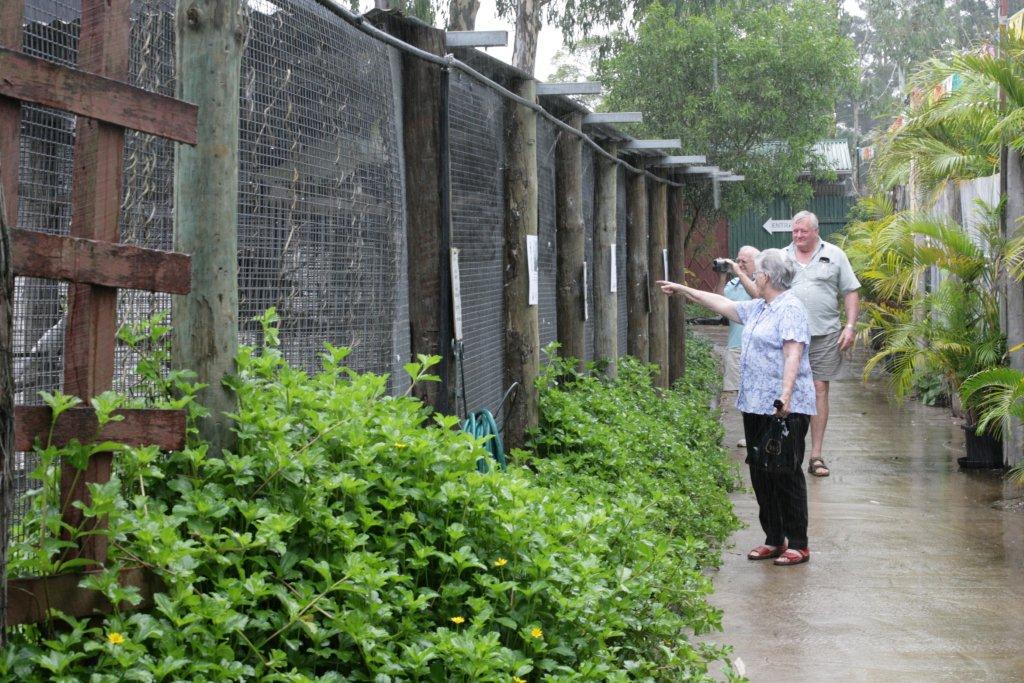 Flying High Bird Sanctuary