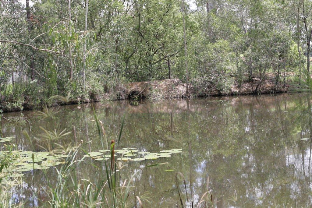 Flying High Bird Sanctuary