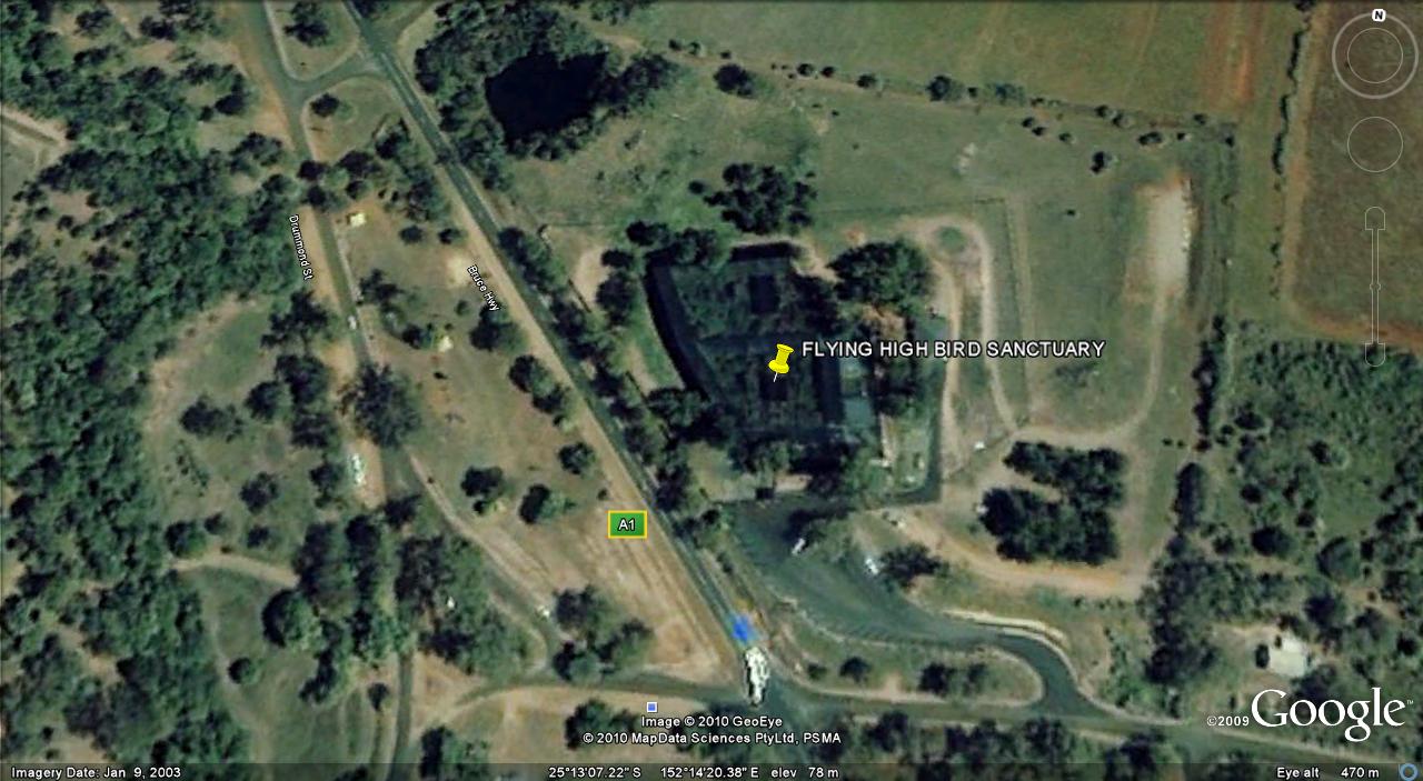 Flying High Bird Sanctuary