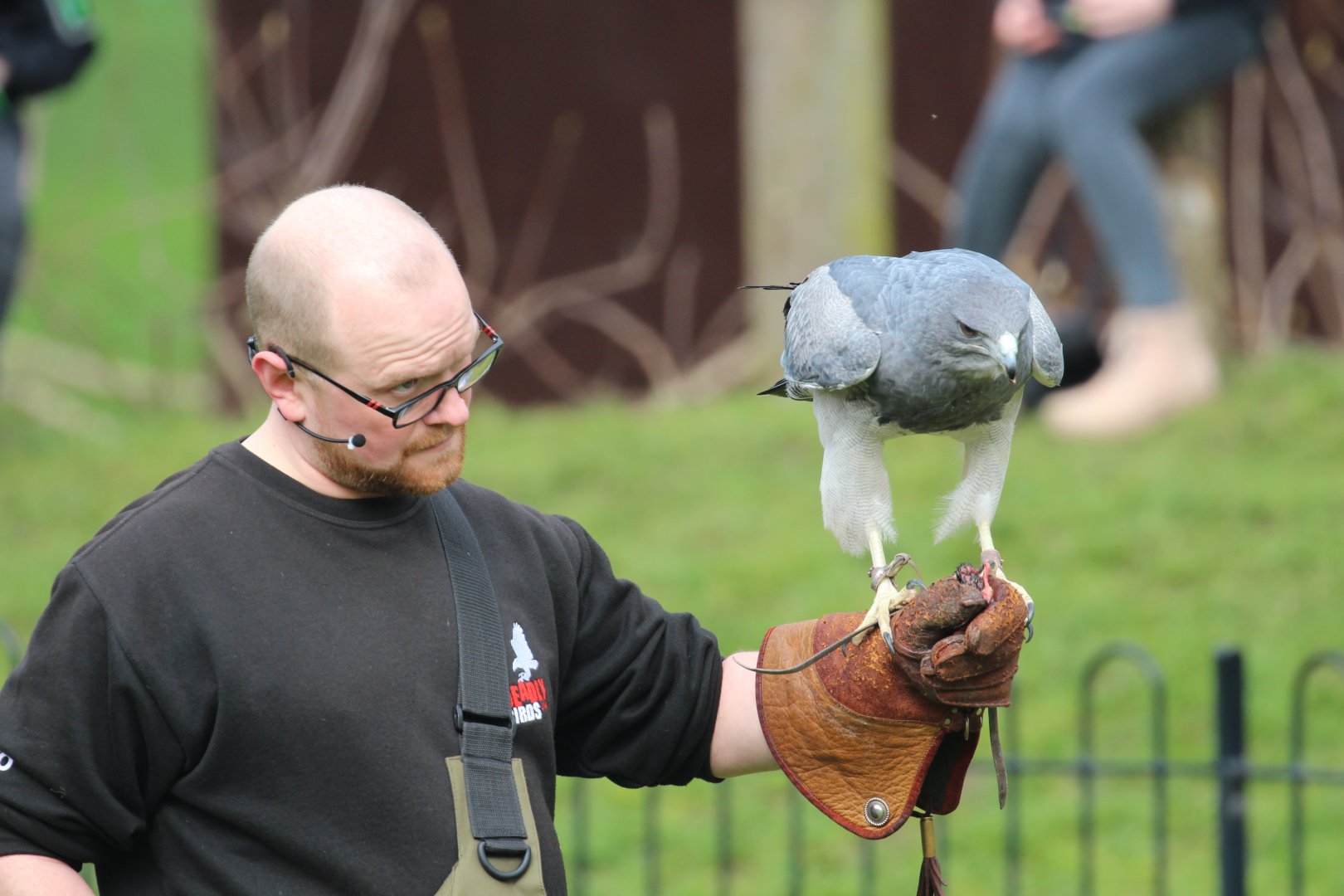 Flying show, April 2018