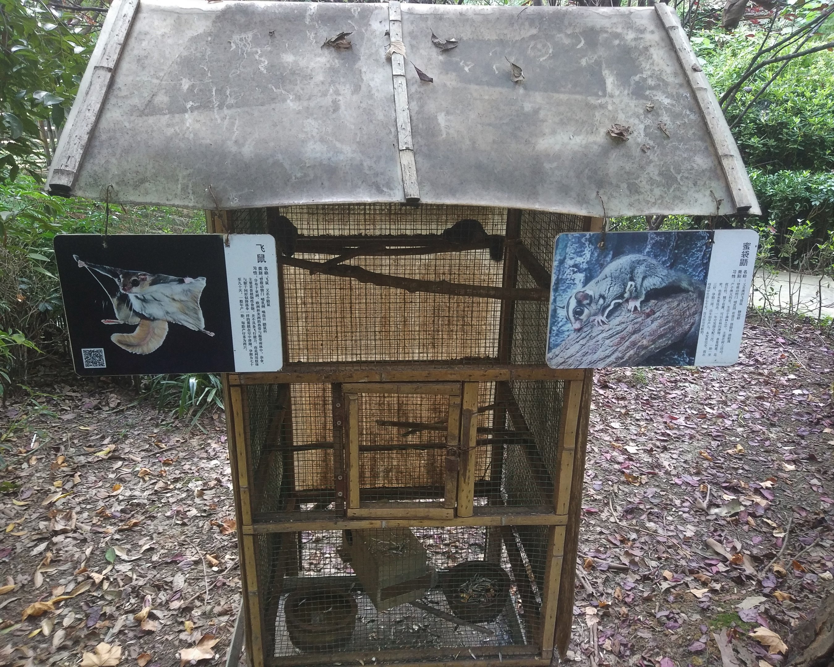 Flying Squirrel Cage