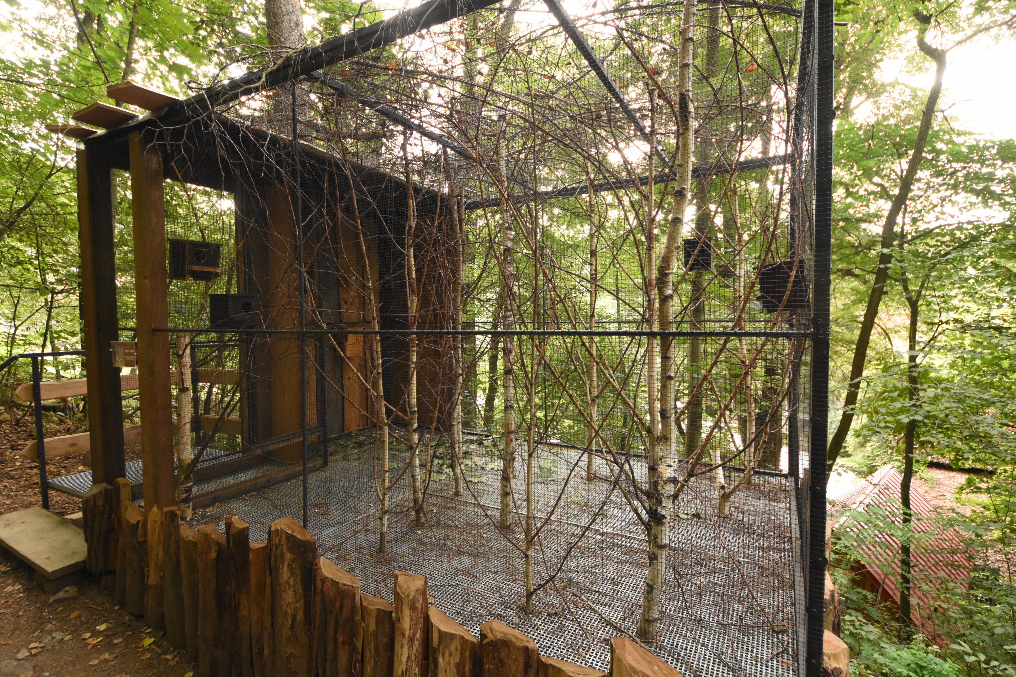 Flying squirrel enclosure