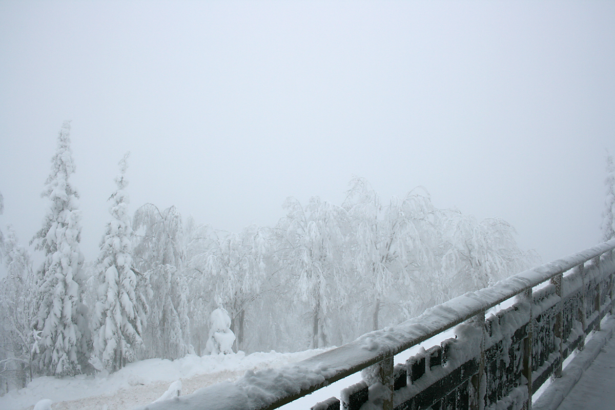 Foggy view from the Tiger House - Orsa Bearpark