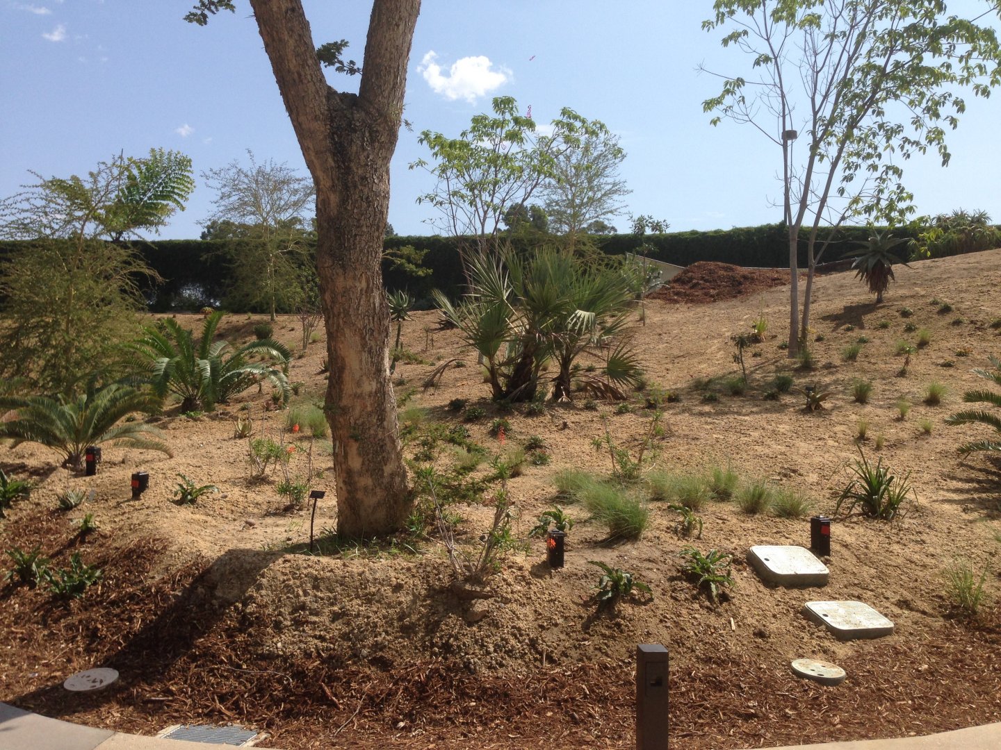 Foliage Along 4th Turn