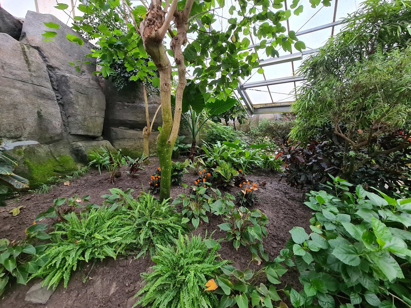 Foliage in Butterfly valley