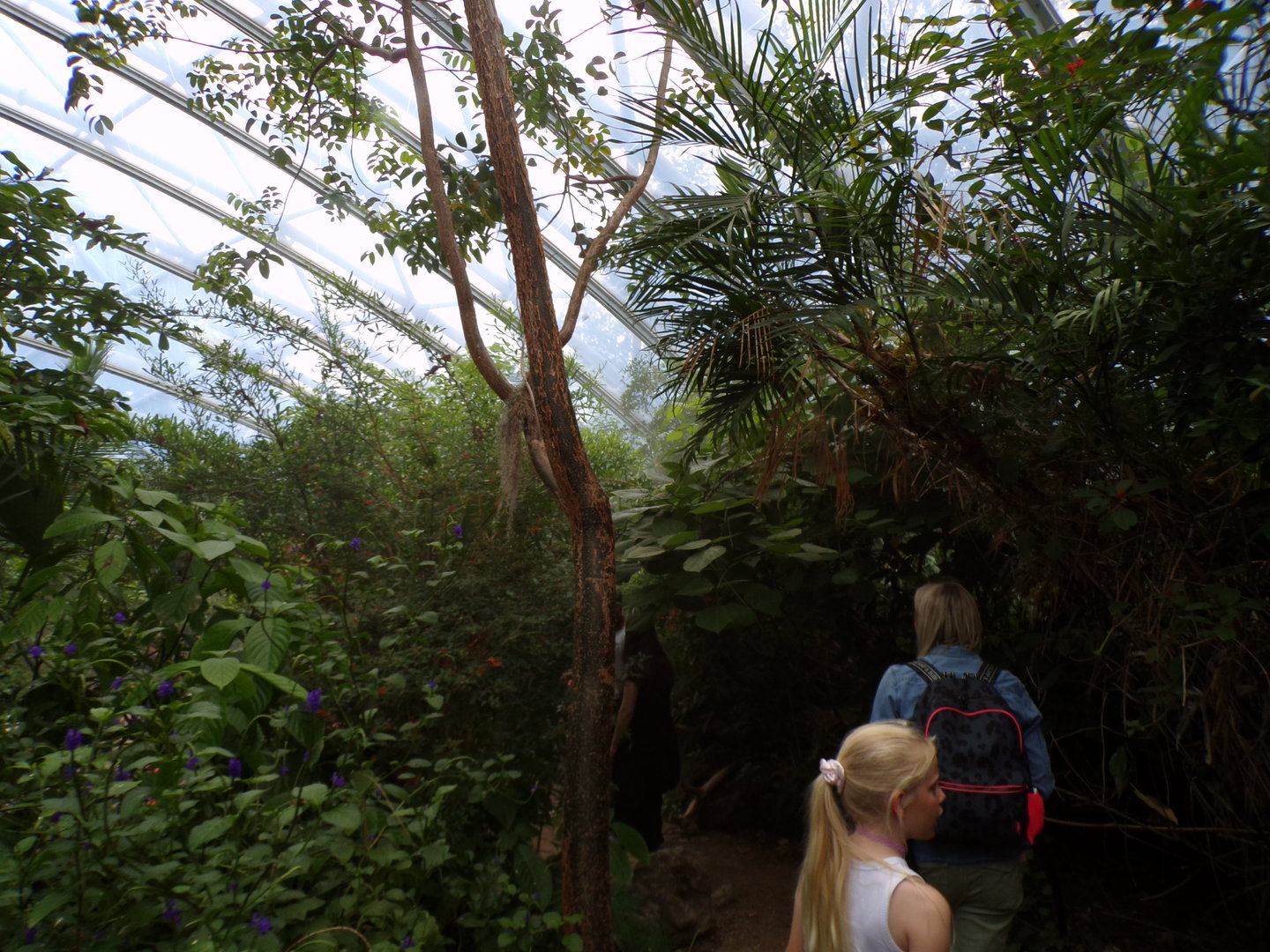 Foliage in the Mangrove 6.7.23