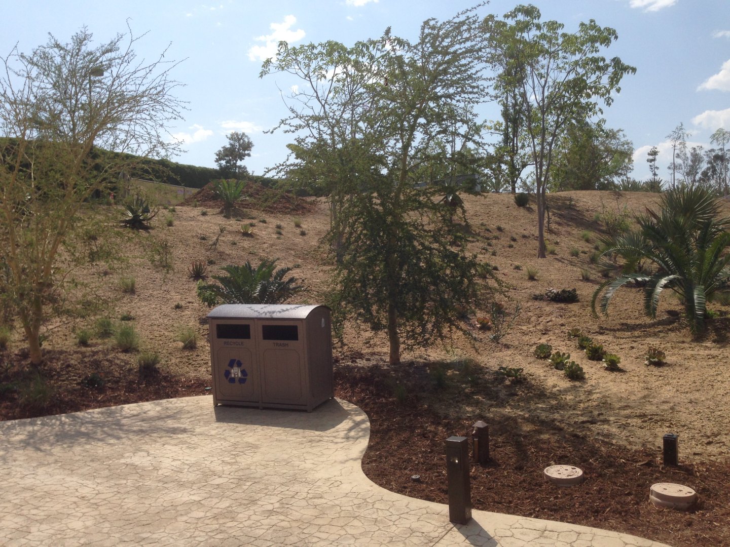 Foliage View Torward Bus Road