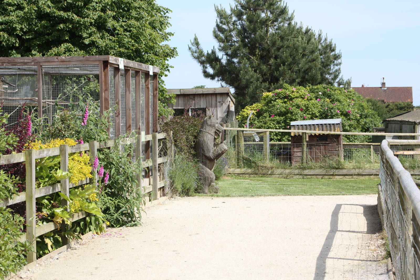 Follow the Bear, 19th June 2014