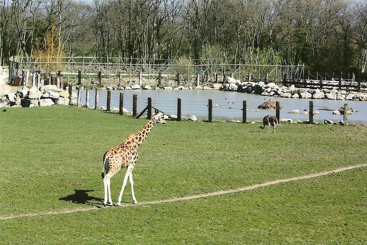 Following a well-trodden path 30th March 2012