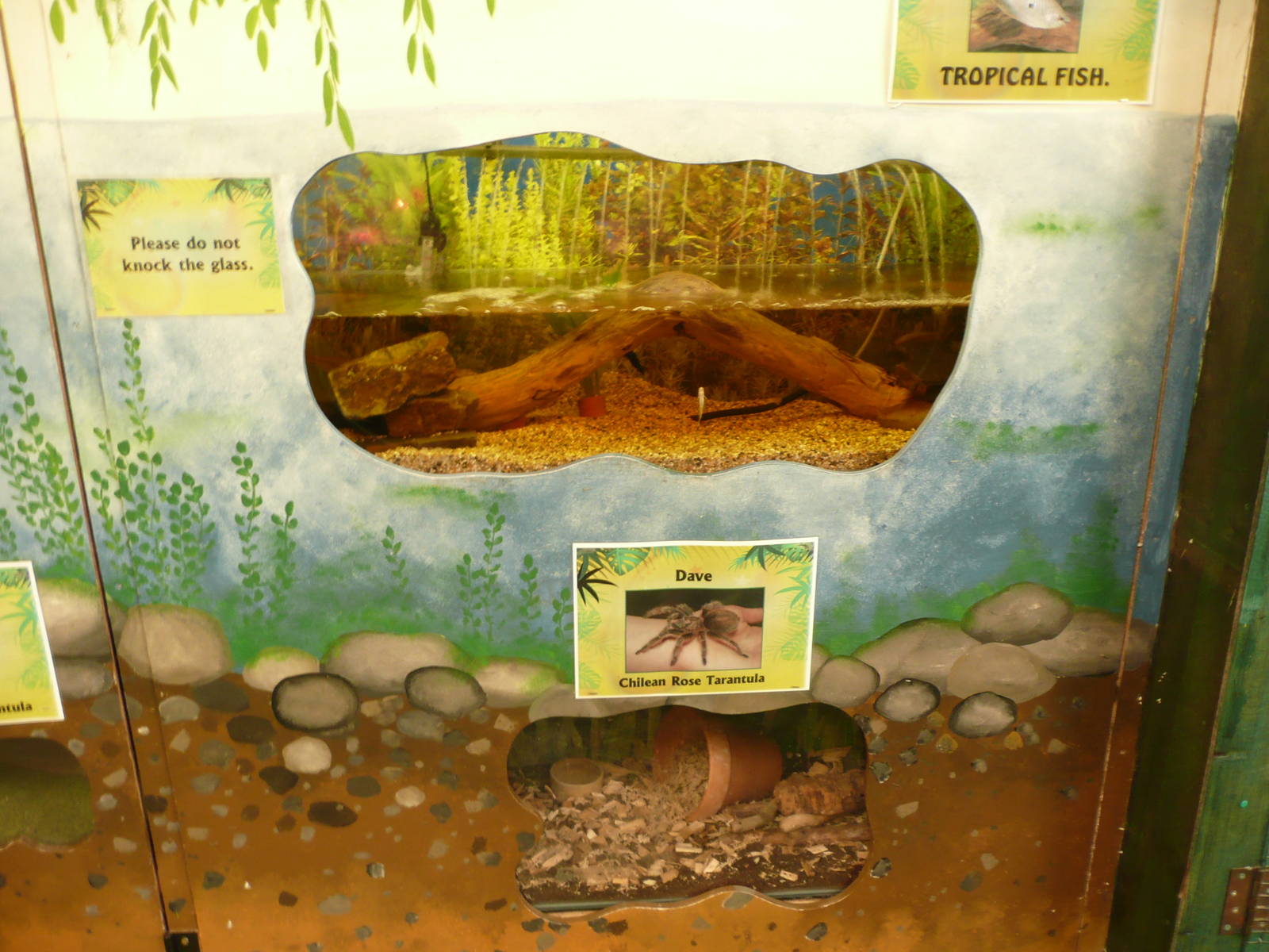 Folly Farm 7th October 2010