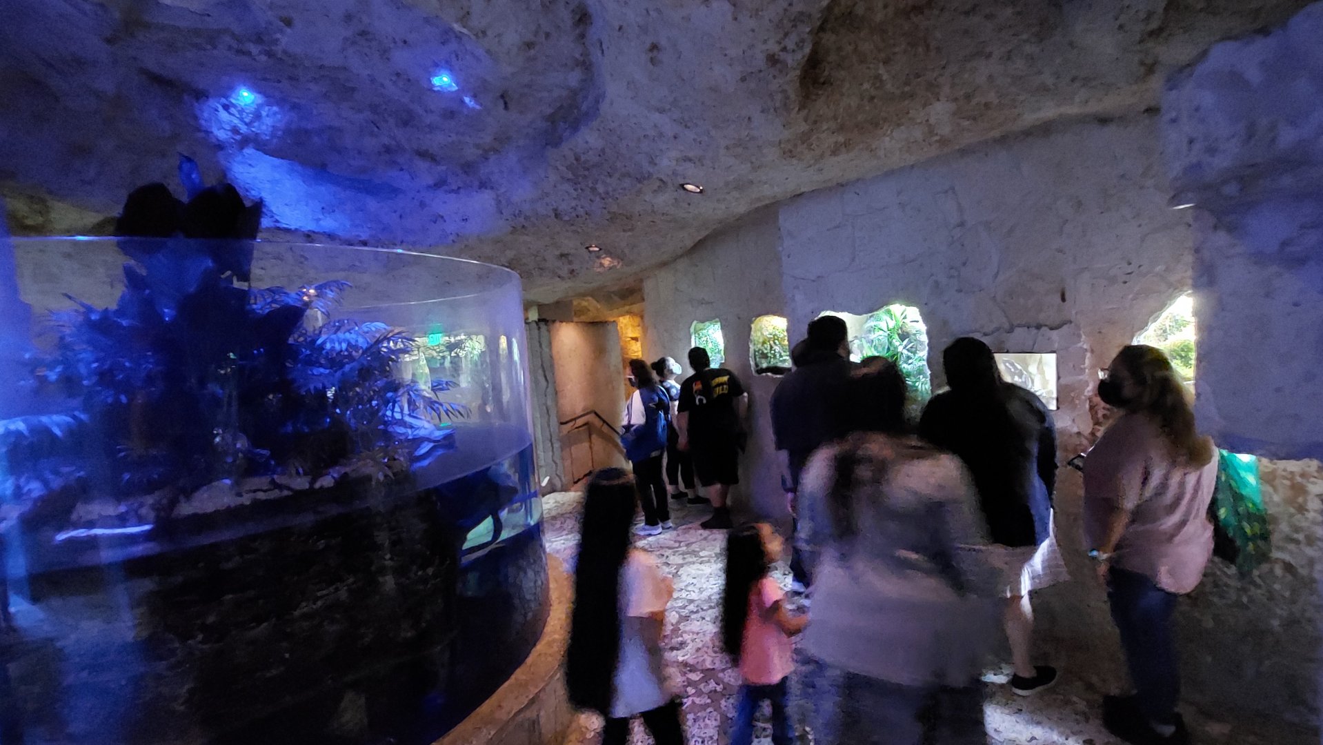 Fomer Yapok exhibit and wall of terrariums- River Delta