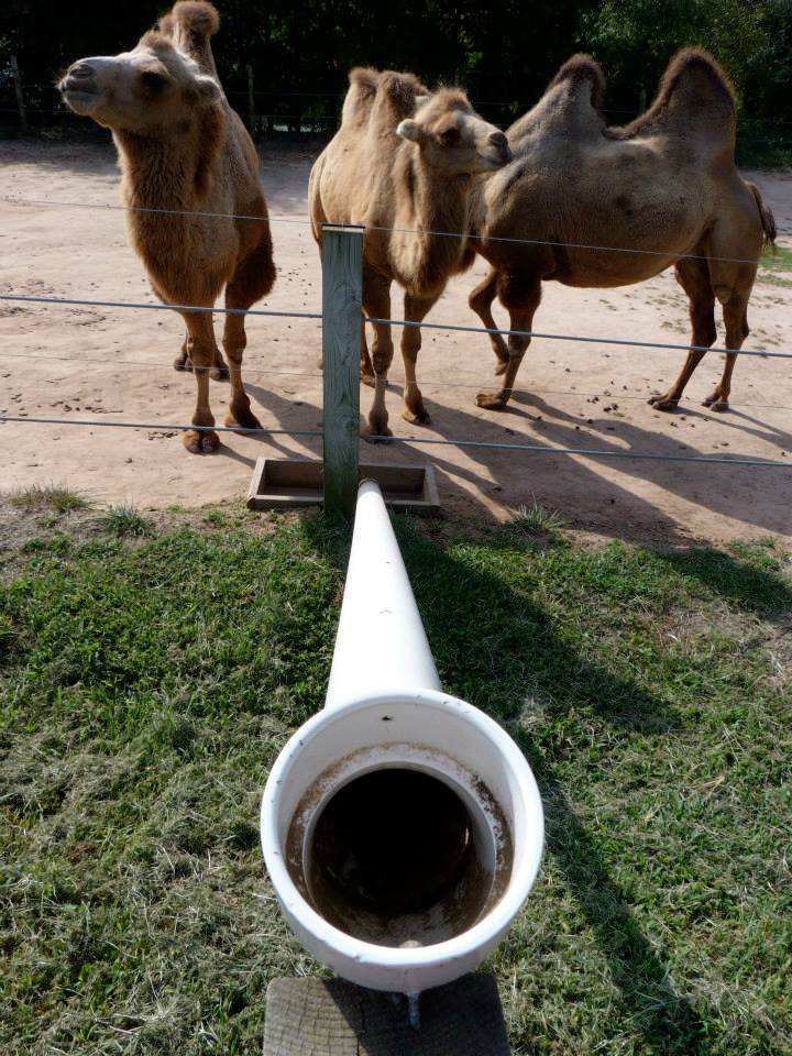 Food Express - August 2014