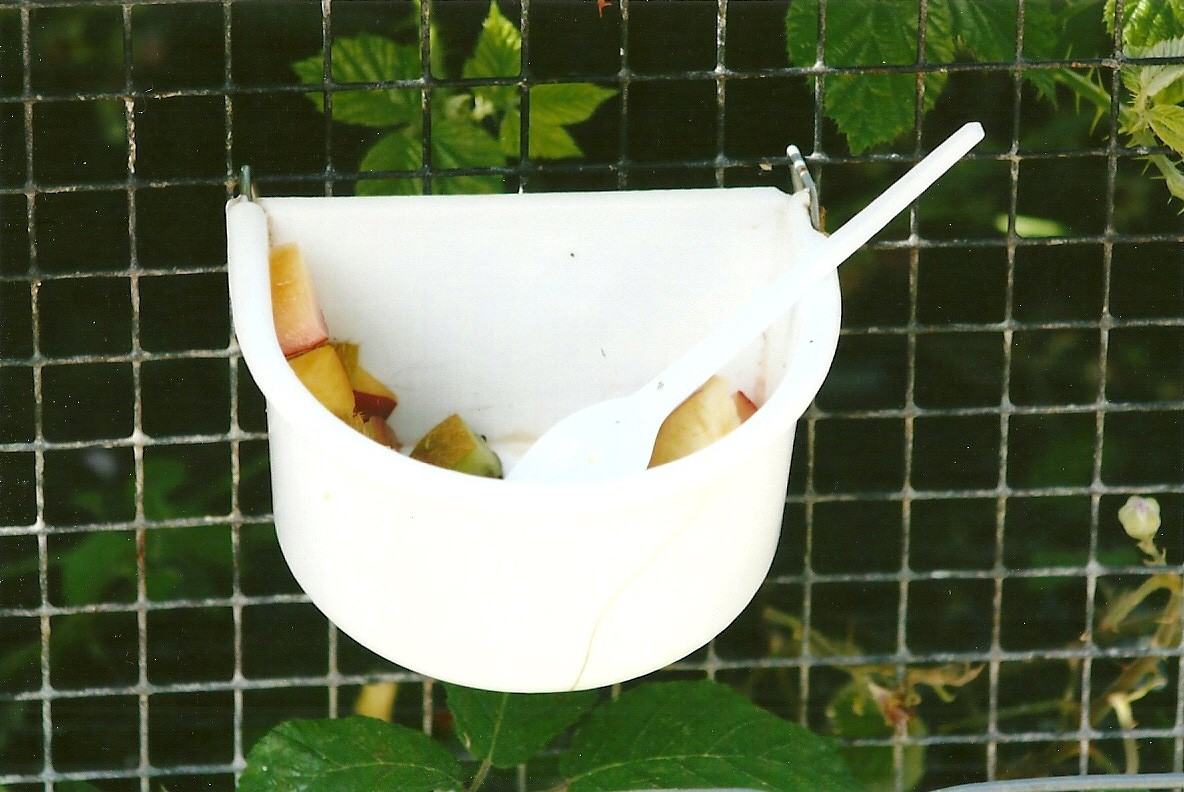 Food for the public to feed Chipmunks 3rd August 2012