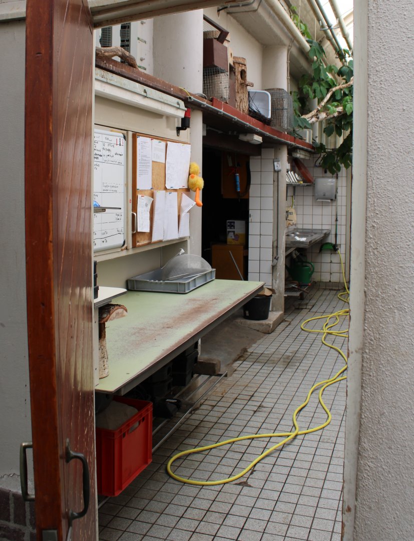 Food-kitchen Riviera hal