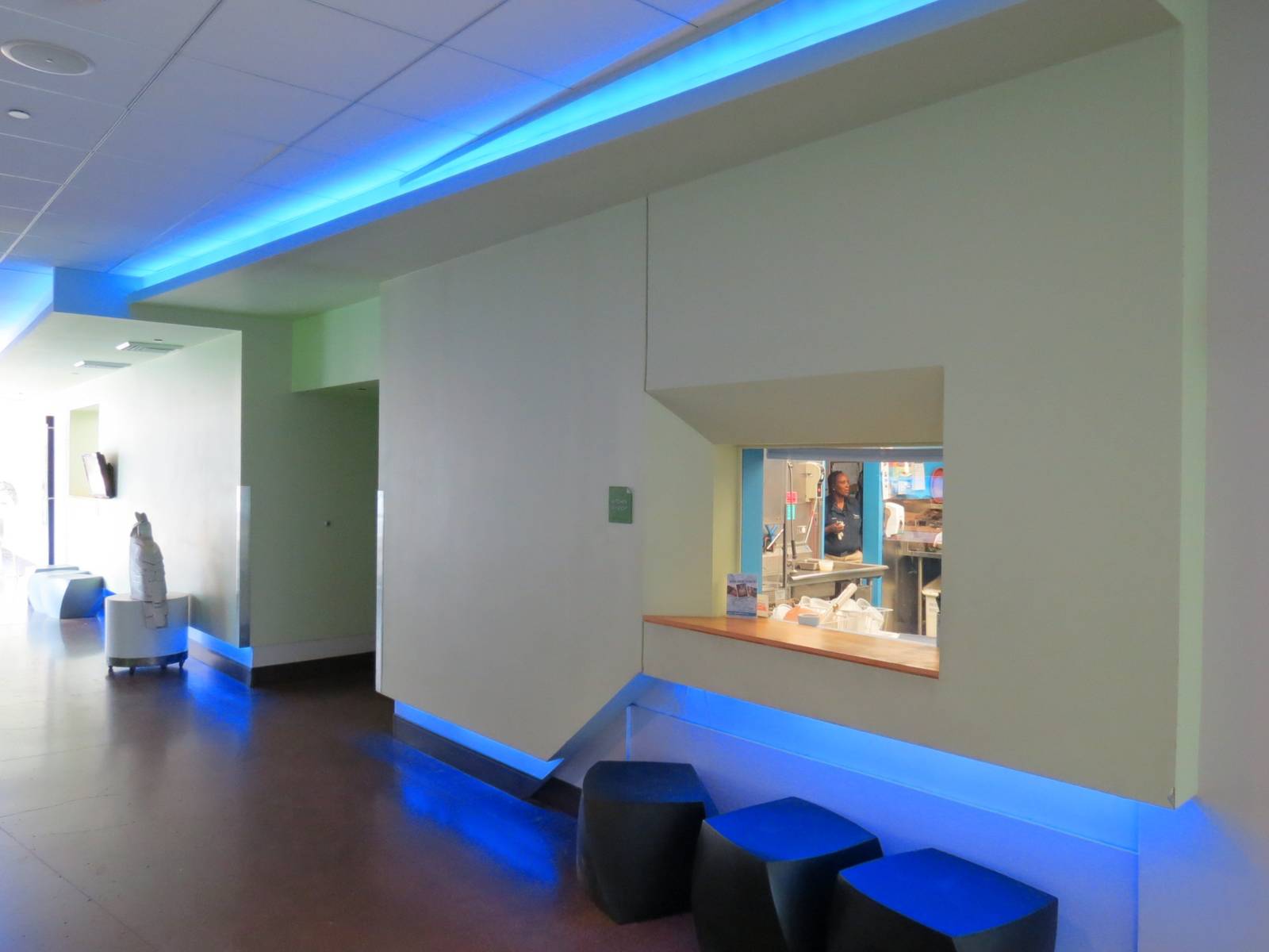 Food Prep Kitchen Viewing Window