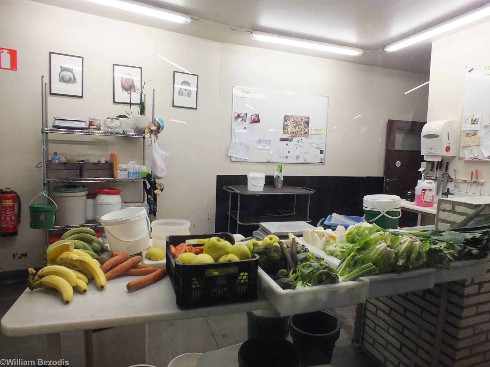 Food Preparation area in Small Primates Building