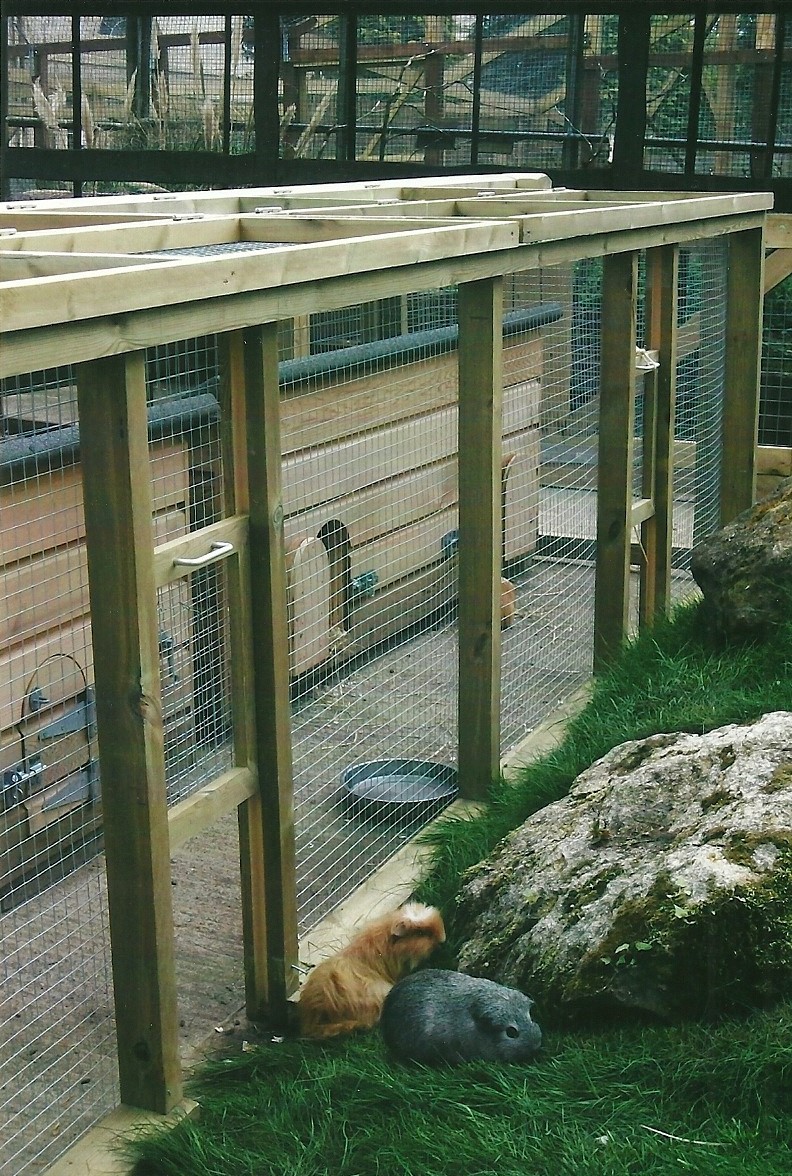 For Pertinax with love - Cavy Country 2013