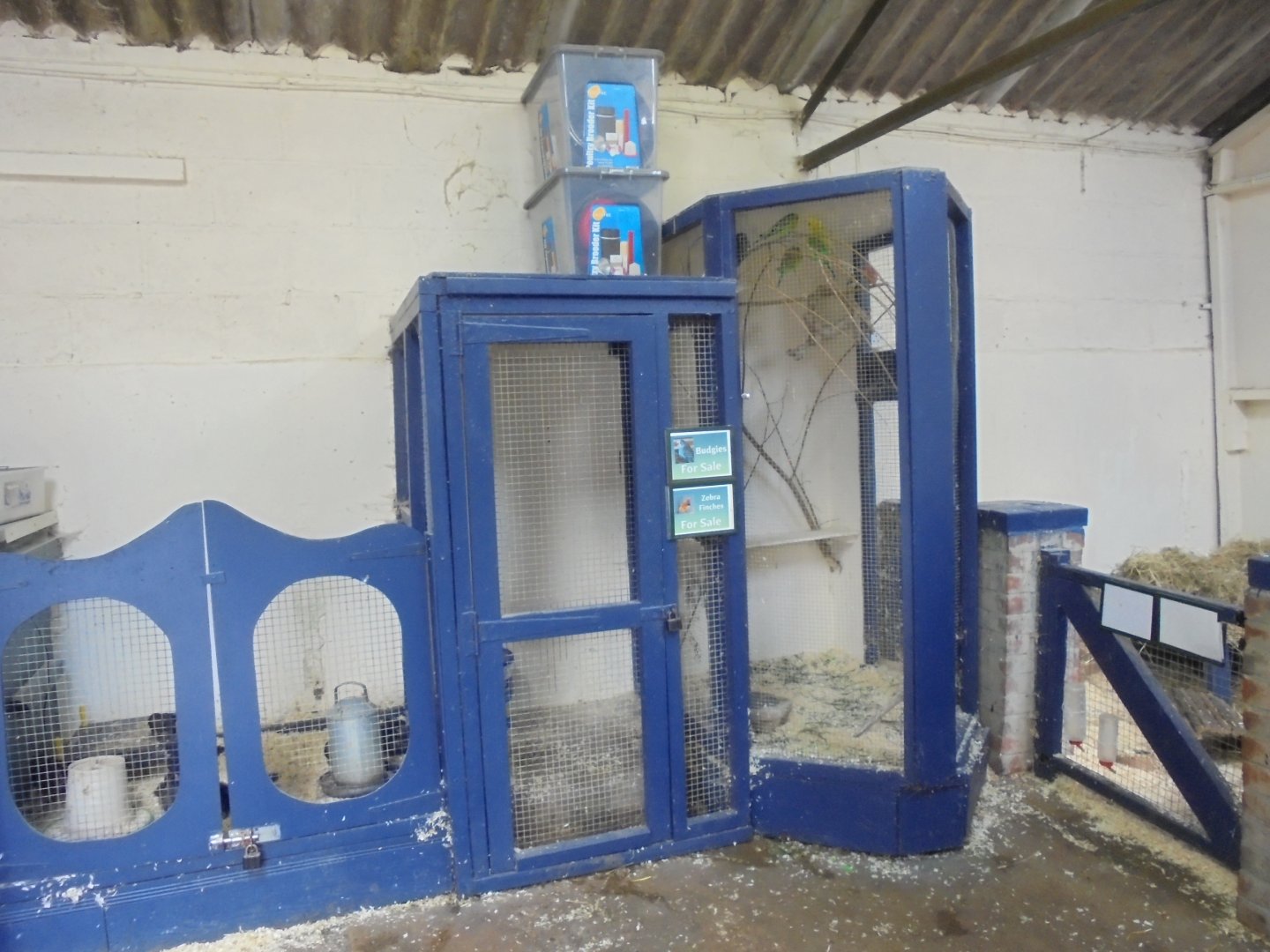 For sale area in Jenny Wren farm 2017.