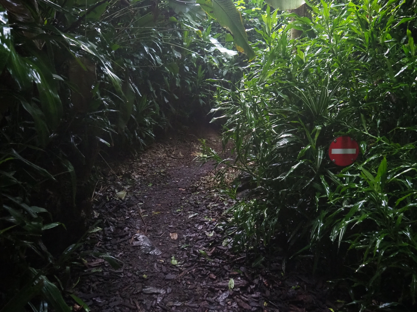 Forbidden pathway (Sep 16th, 2018)