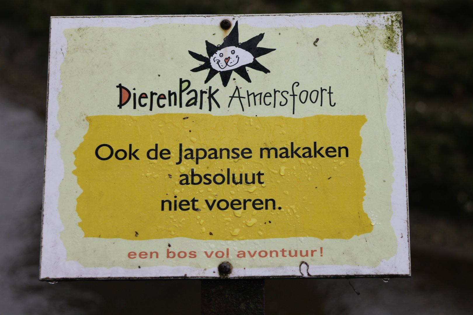 Forbidden to feed the Japanese macaque-sign