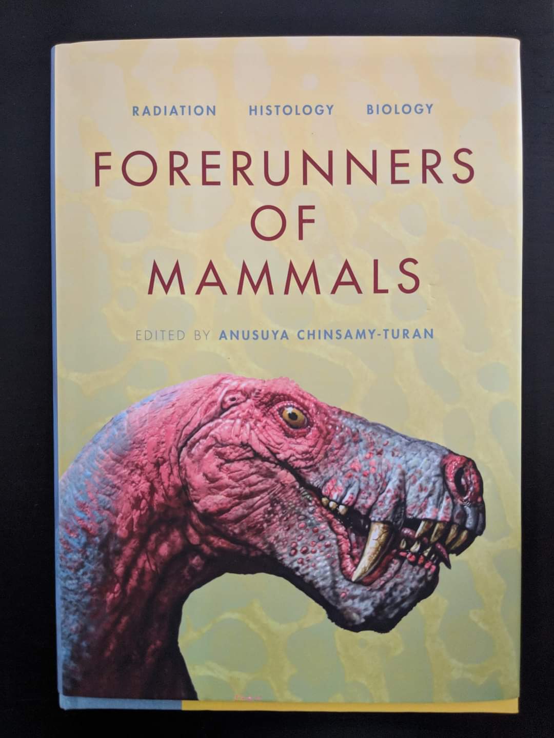 Forerunners of Mammals
