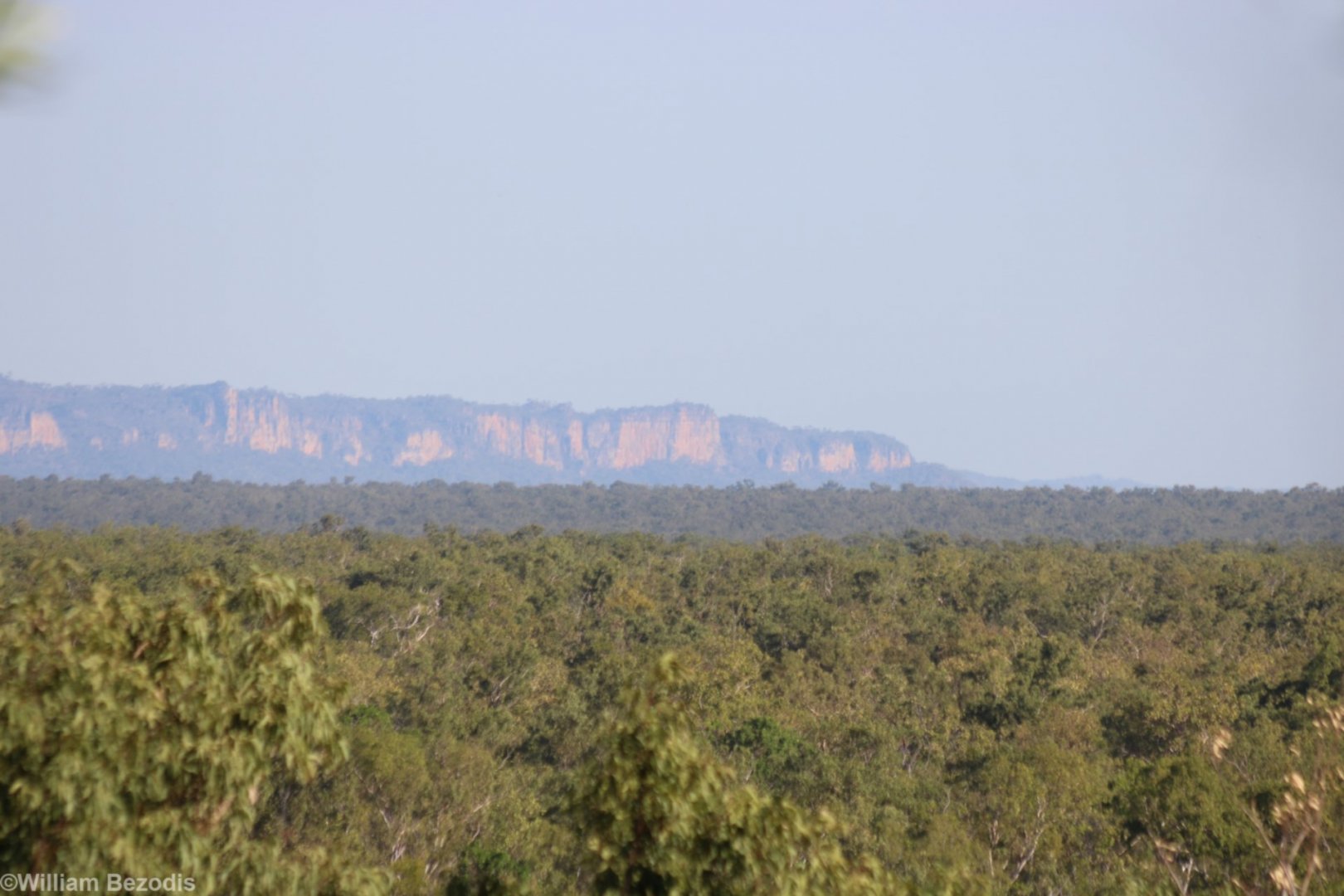 Forest and Escarpment - Kakadu