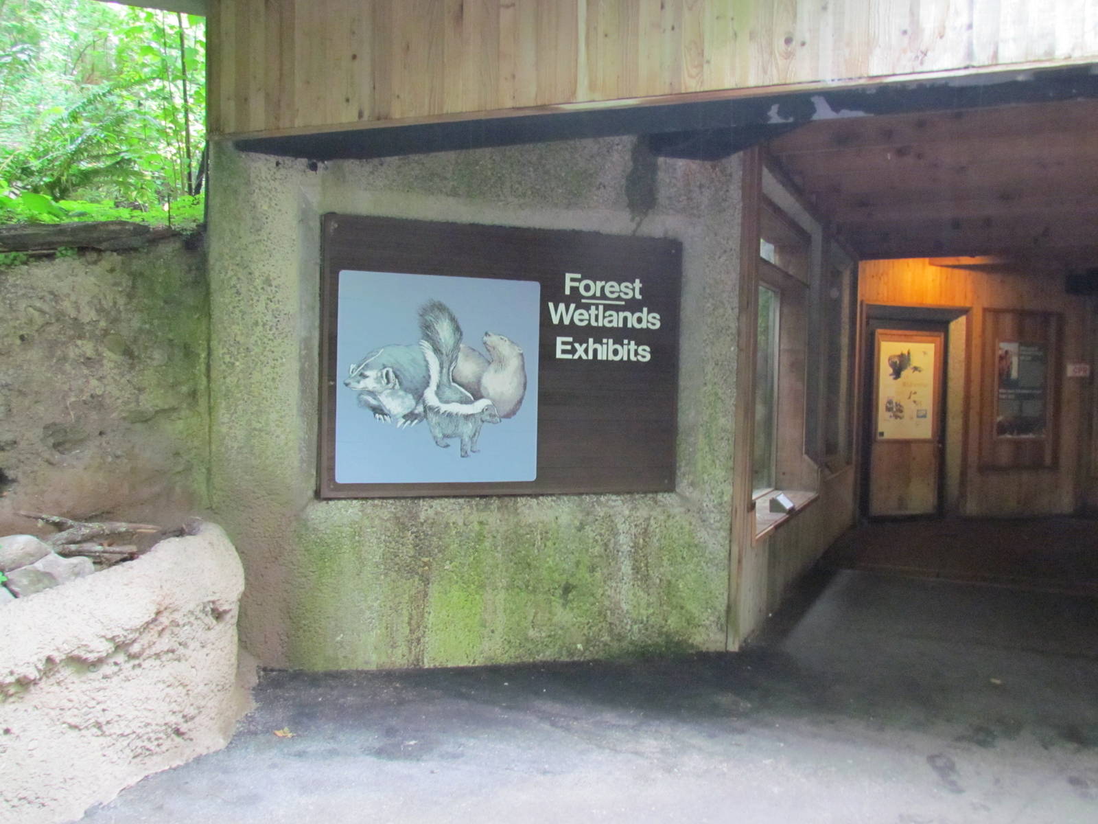 Forest and Wetlands Exhibits