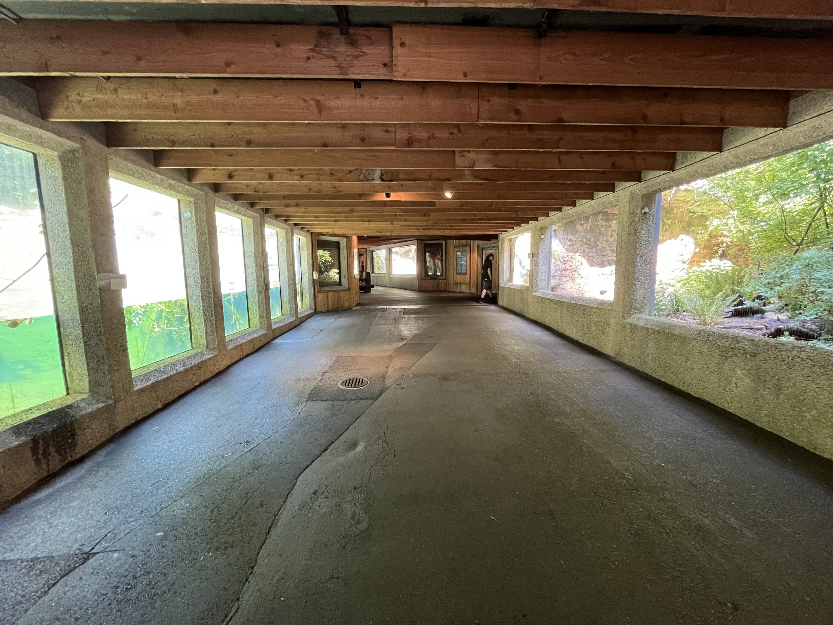 Forest Animals - lower level