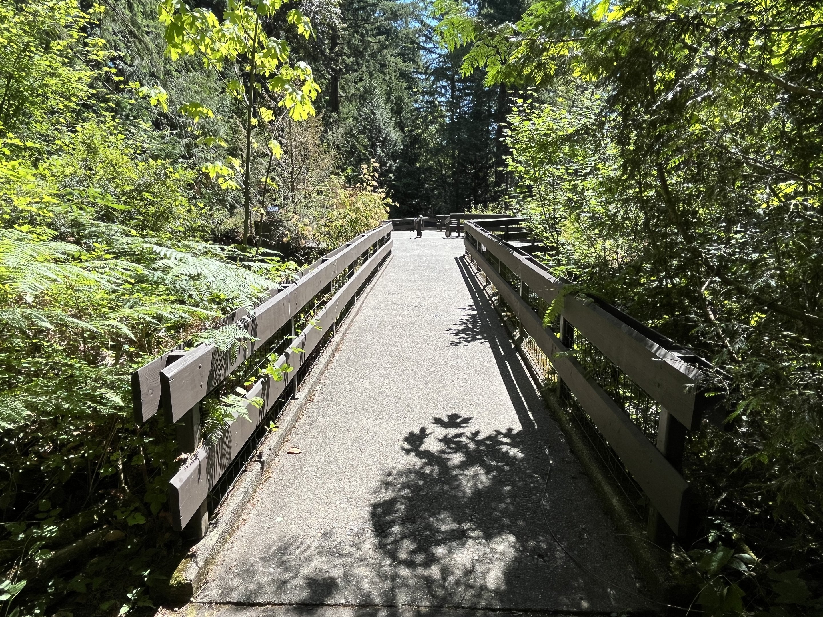 Forest Animals - upper level