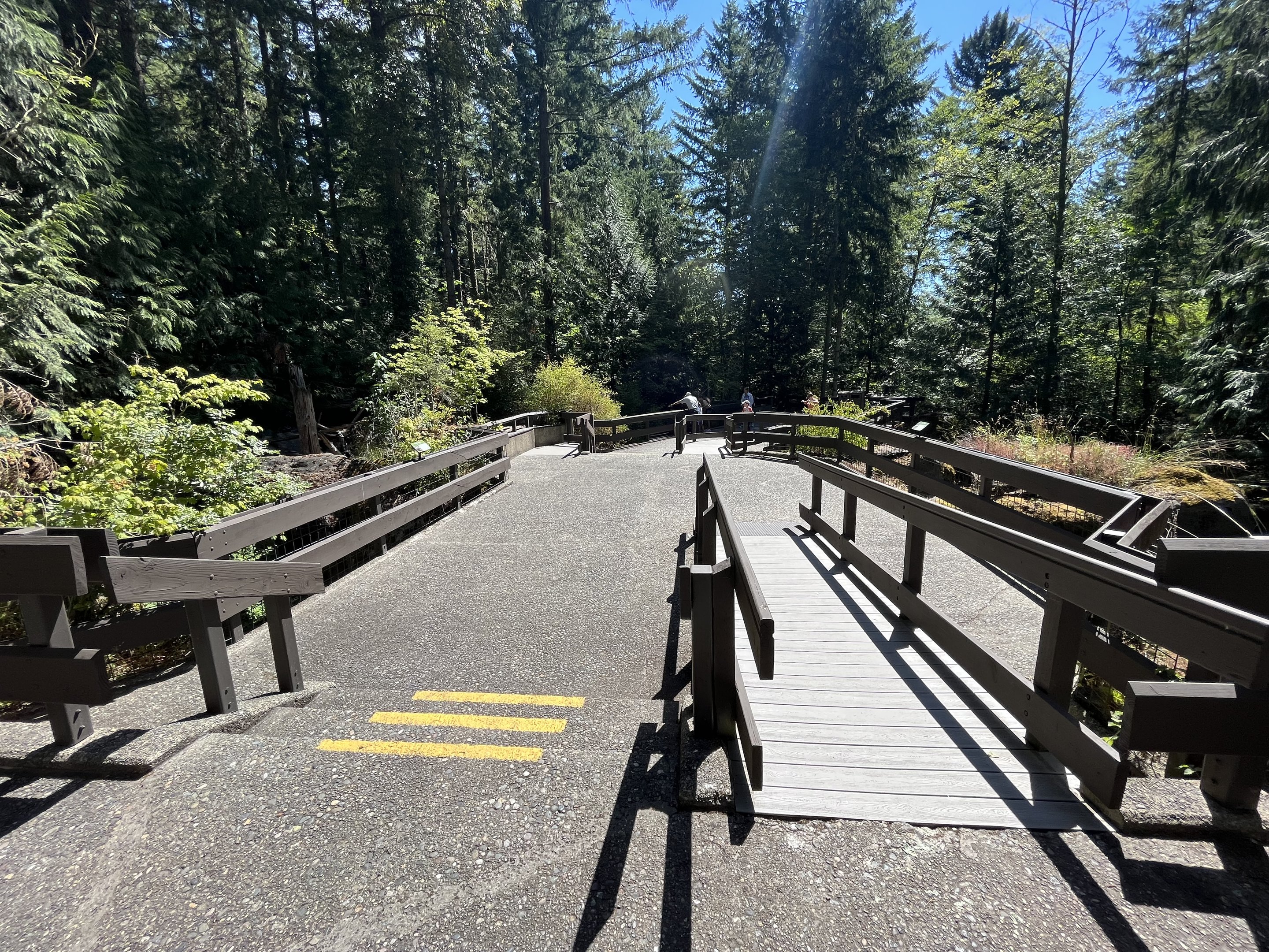 Forest Animals - upper level