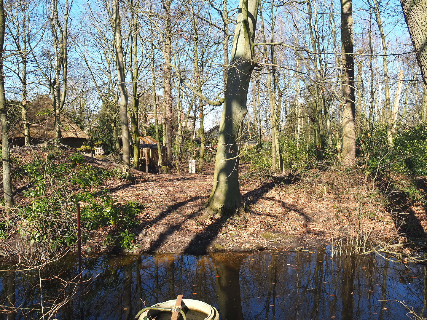 Forest area in the European section, 2022-03-08