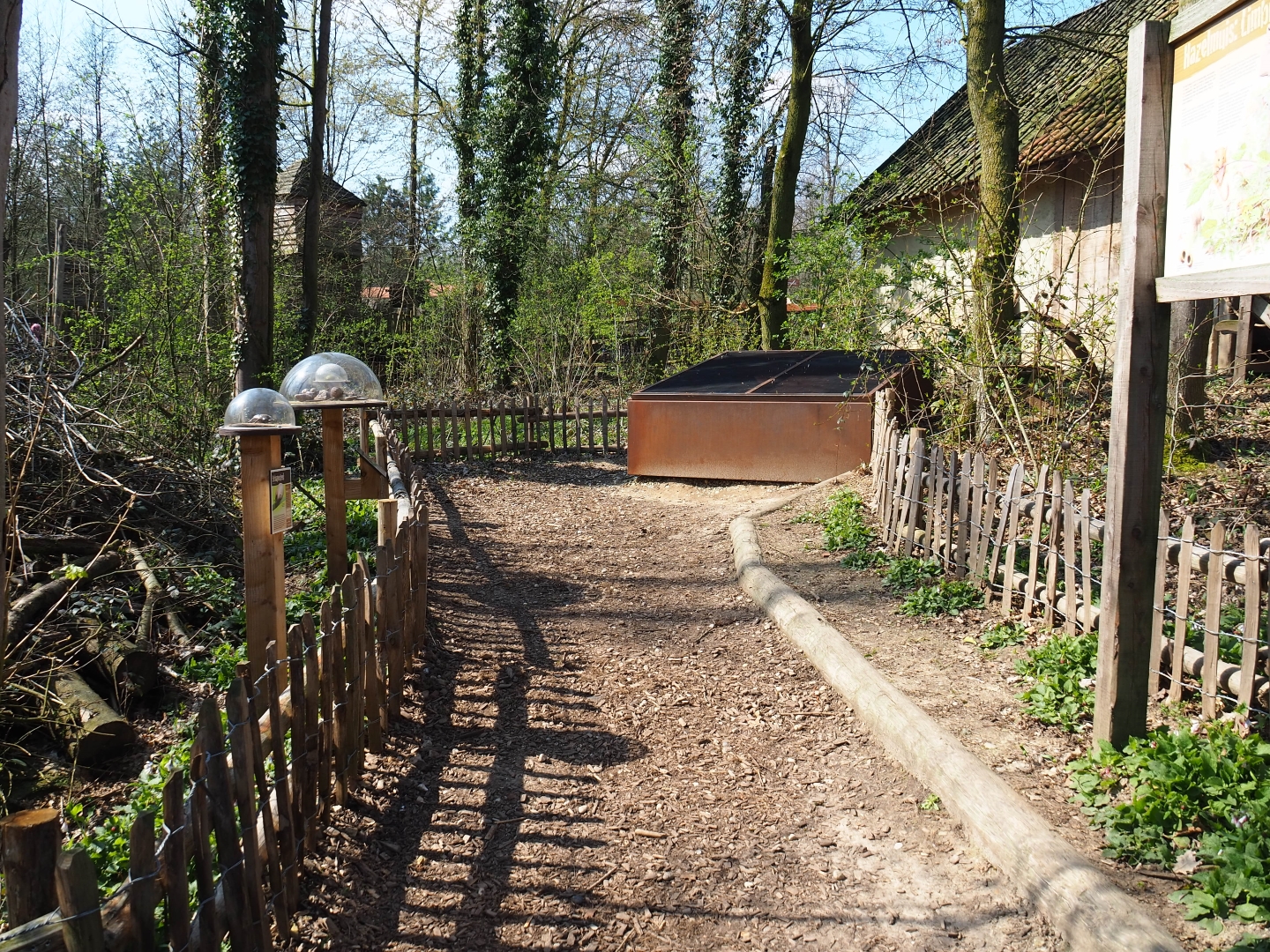 Forest area with fire salamander outdoor exhibits and educational displays, 2019-03-30