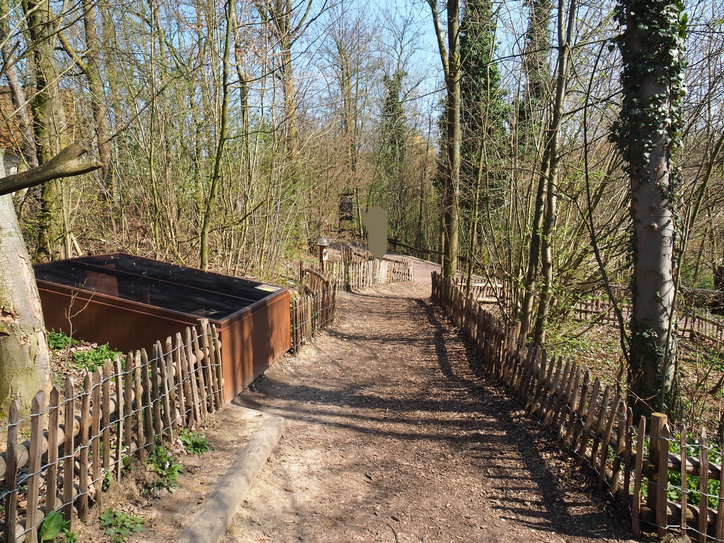 Forest area with fire salamander outdoor exhibits and educational displays, 2019-03-30