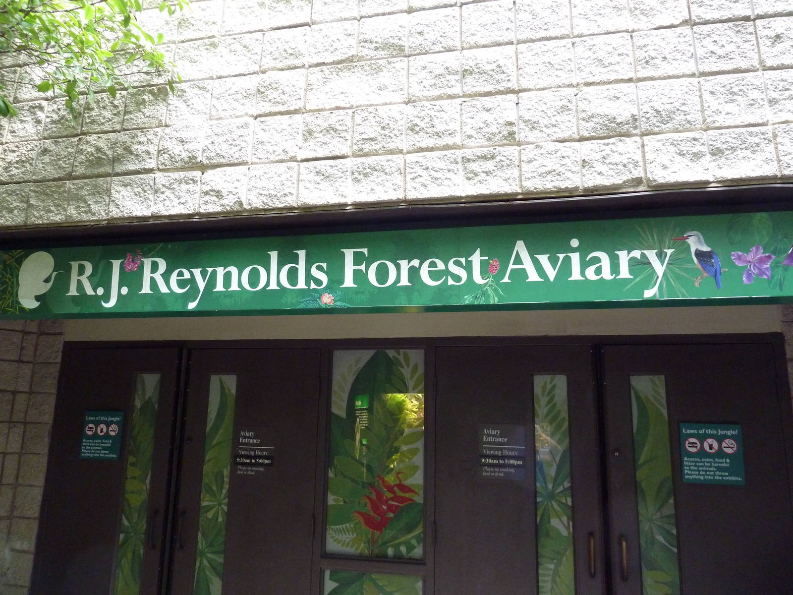 Forest Aviary - 35 Bird Species