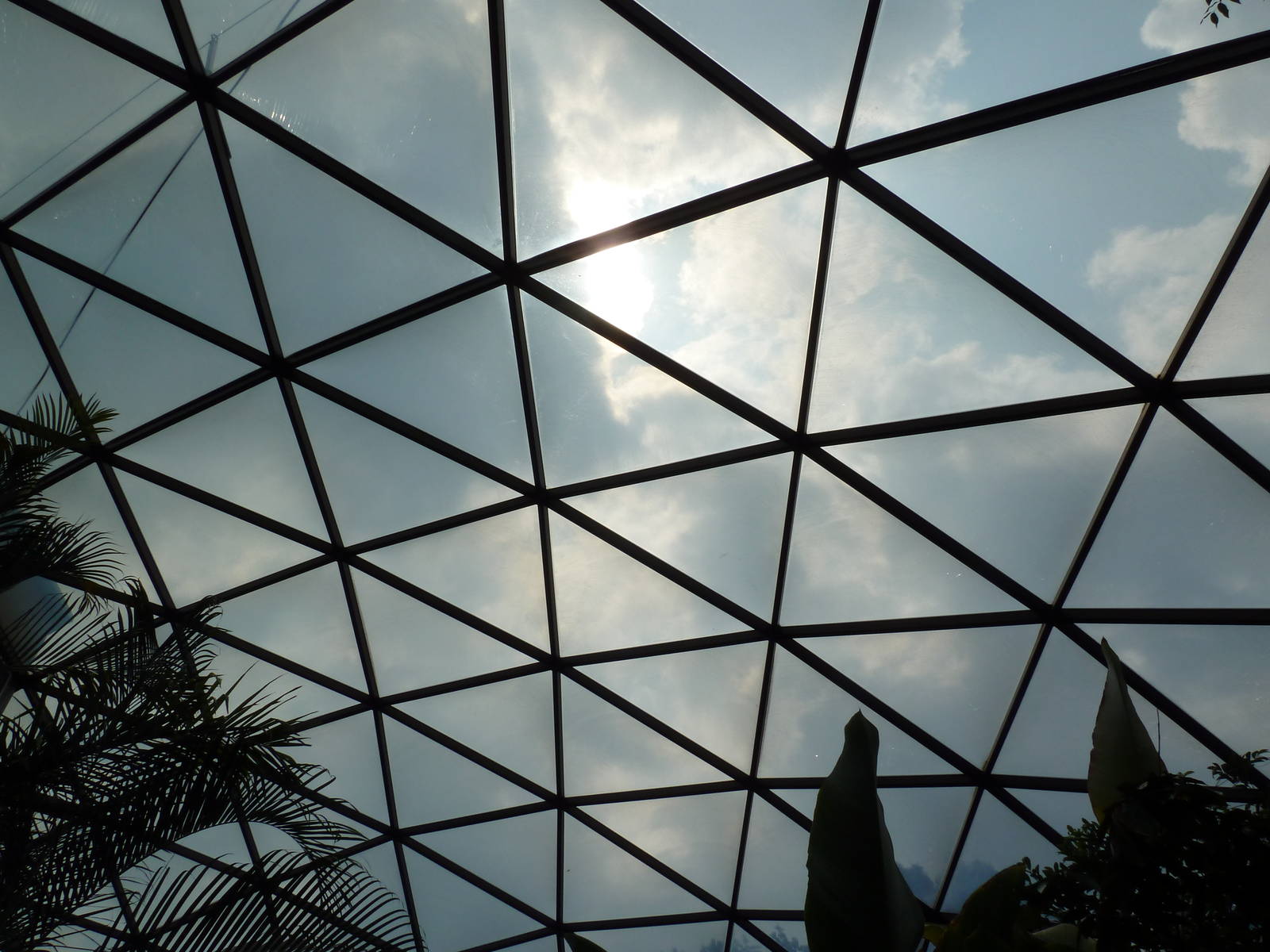 Forest Aviary - 35 Bird Species